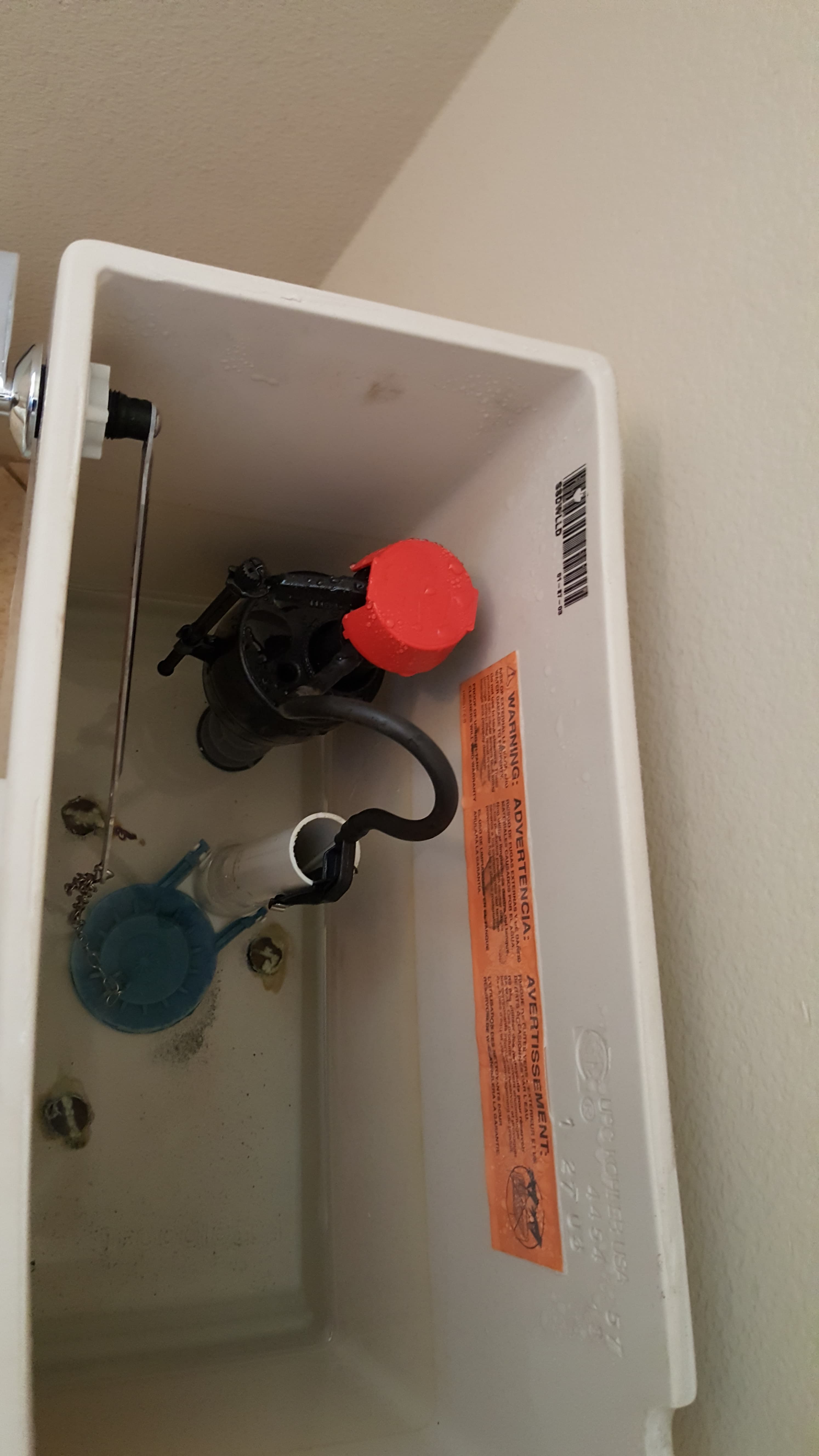 Toilet tank with new fill valve and flapper assembly installed.